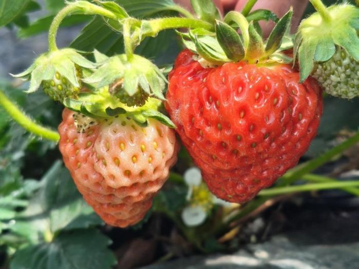 ǼlxܸԭݮСݮɾ¸aI