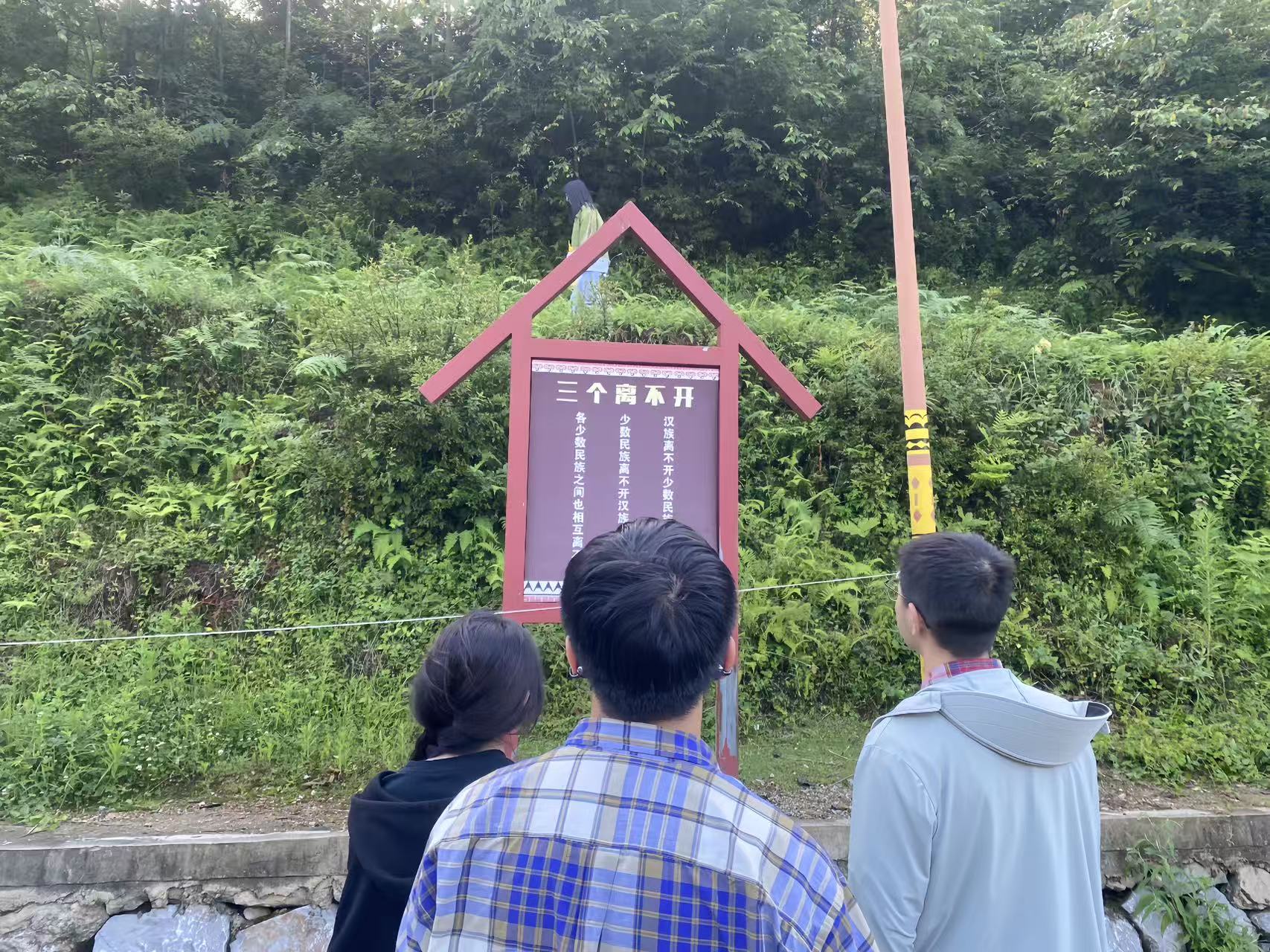 LWؑcPˮLǭt퍡ͬġ``AMY