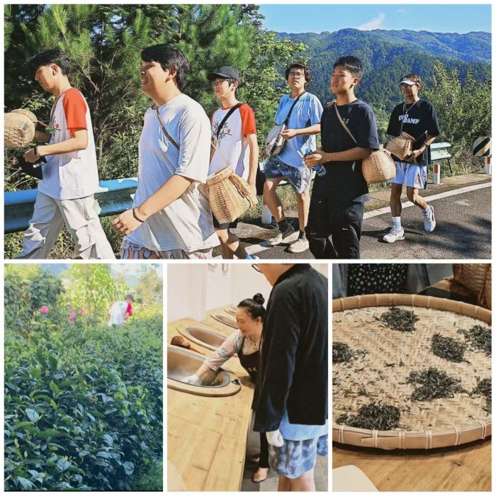 ƴǭLꠣഺ֮|dע롰衱