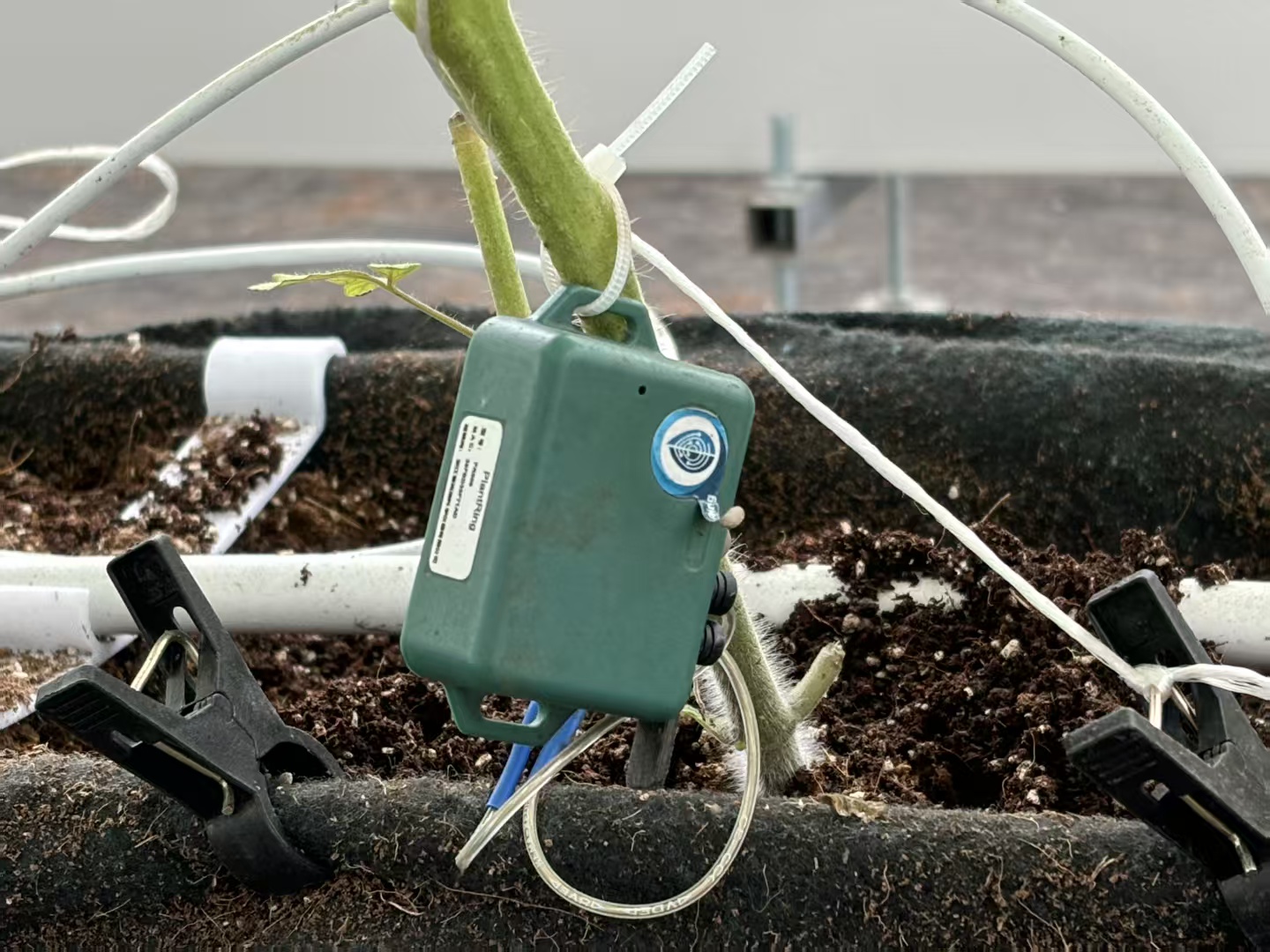  ӋWǻr(nng)I(y)ԿƼ֮PLl(xing)dD