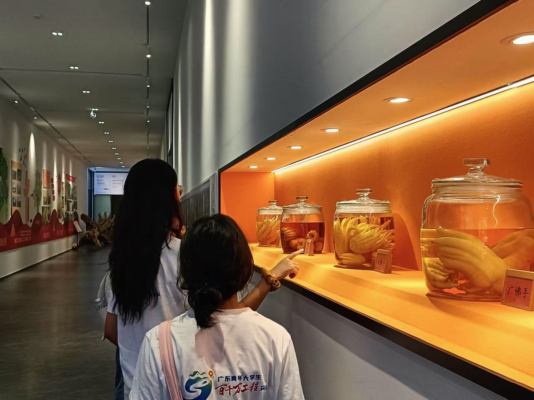 ҳ݂ nˮ`¡Vt(y)ˎWt(y)֪꠸_չڡl(xing)`