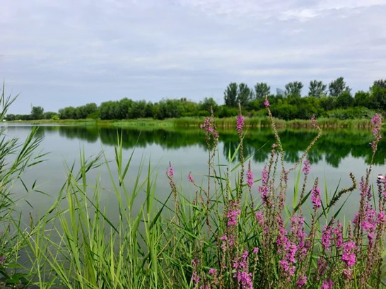 VƪЇʯʹW`FҊCd֮·